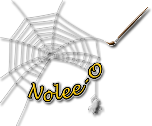 Nolee-O Web Design